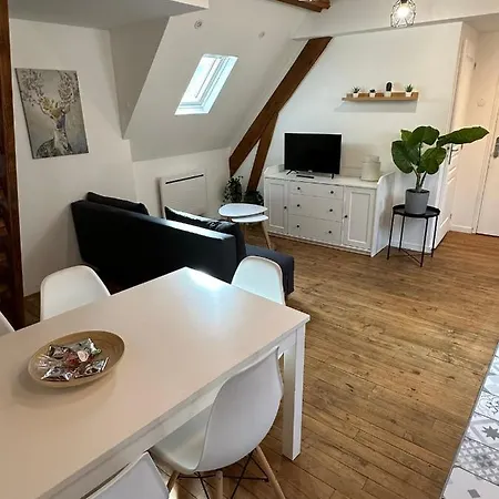 Superbe Mansarde Avec Mezzanine - Proche Centre Ville, Thermes, Aquensis