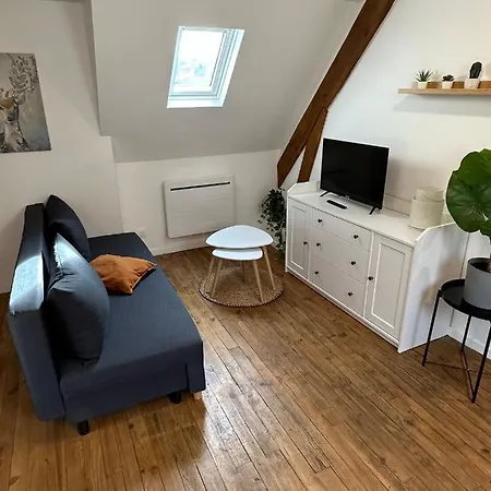 Superbe Mansarde Avec Mezzanine - Proche Centre Ville, Thermes, Aquensis Apartment Bagneres-de-Bigorre