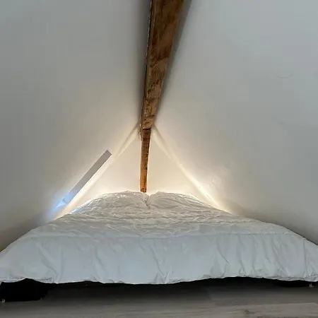 Superbe Mansarde Avec Mezzanine - Proche Centre Ville, Thermes, Aquensis *