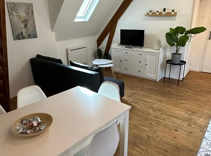 Superbe Mansarde Avec Mezzanine - Proche Centre Ville, Thermes, Aquensis