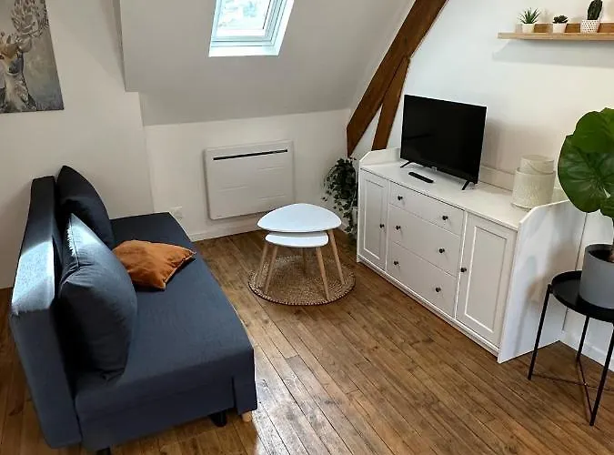 Superbe Mansarde Avec Mezzanine - Proche Centre Ville, Thermes, Aquensis Apartamento Bagnères-de-Bigorre